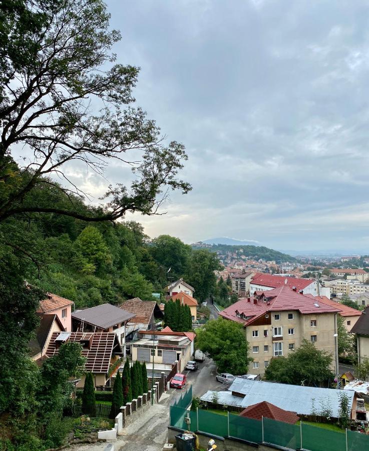 Nature Apartment - Minutes Away From The Old Town And Afi Mall Brașov Exterior foto